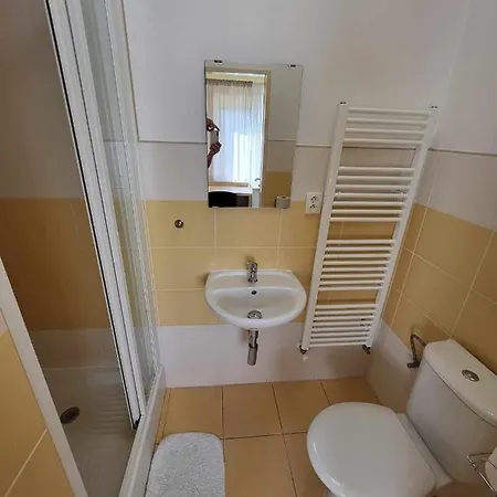 Guest house Restaurace A Vrtule Petrvald (Novy Jicin)