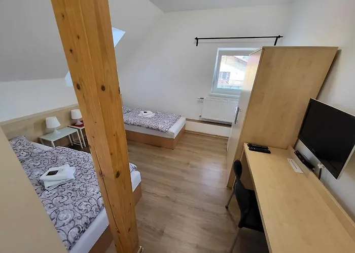 Restaurace A Vrtule Penzion Petrvald (Novy Jicin)