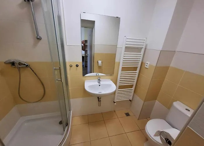 Restaurace A Vrtule Penzion Petrvald (Novy Jicin)